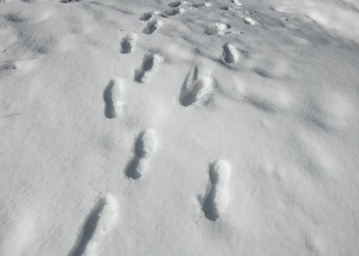 Temple Of The Sun - In, Out *