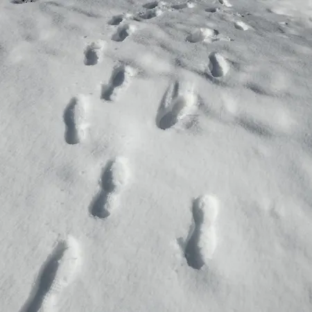 Temple Of The Sun - In, Out *