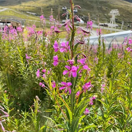 Temple Of The Sun - In, Out